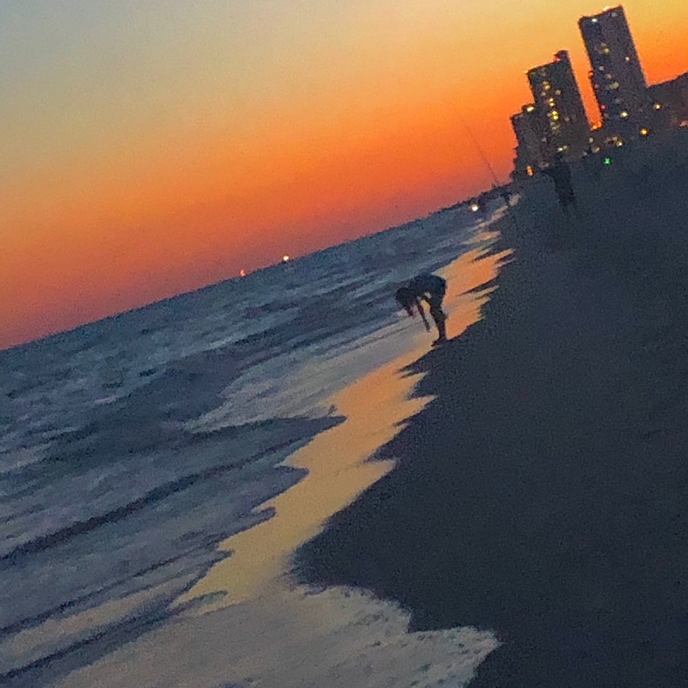 Meet your Posher, Reagan